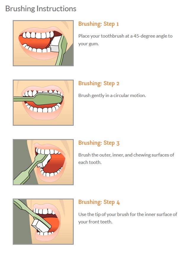 instructions to how to brush your teeth