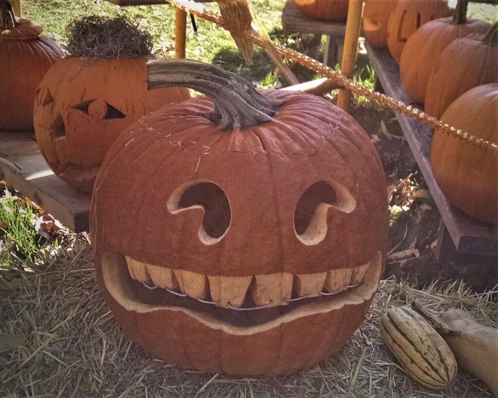 Braces Friendly Pumpkin Dessert