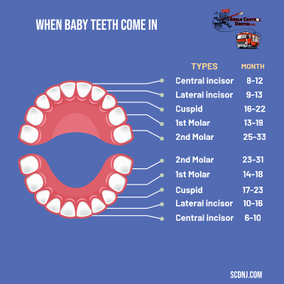 Baby Teeth erupt chart