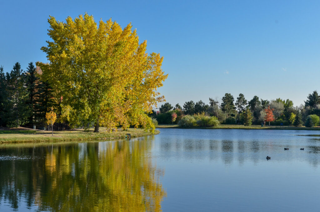 pediatric dentist in Cherry Hills Village orthodontist in Cherry Hills Village
